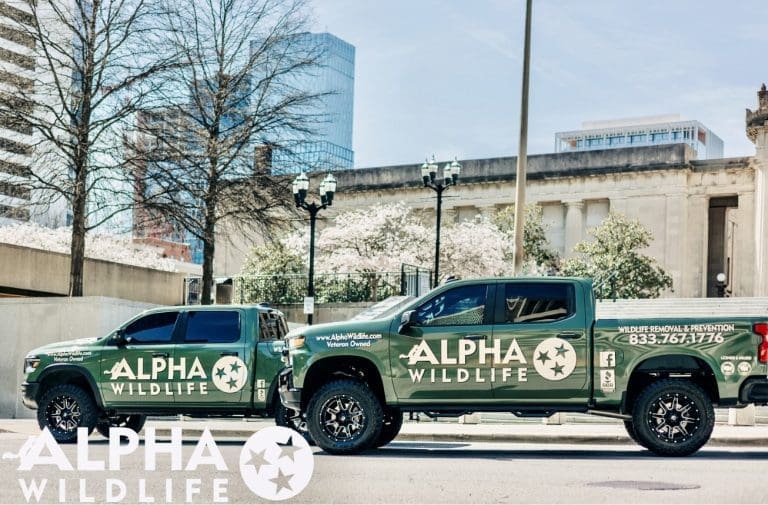 Alpha Wildlife trucks